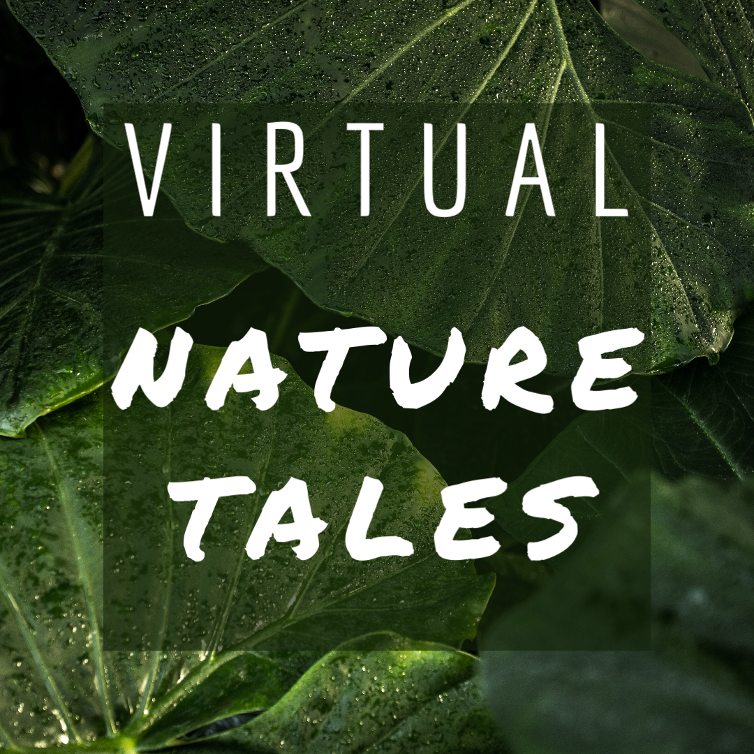 VNATURETALES