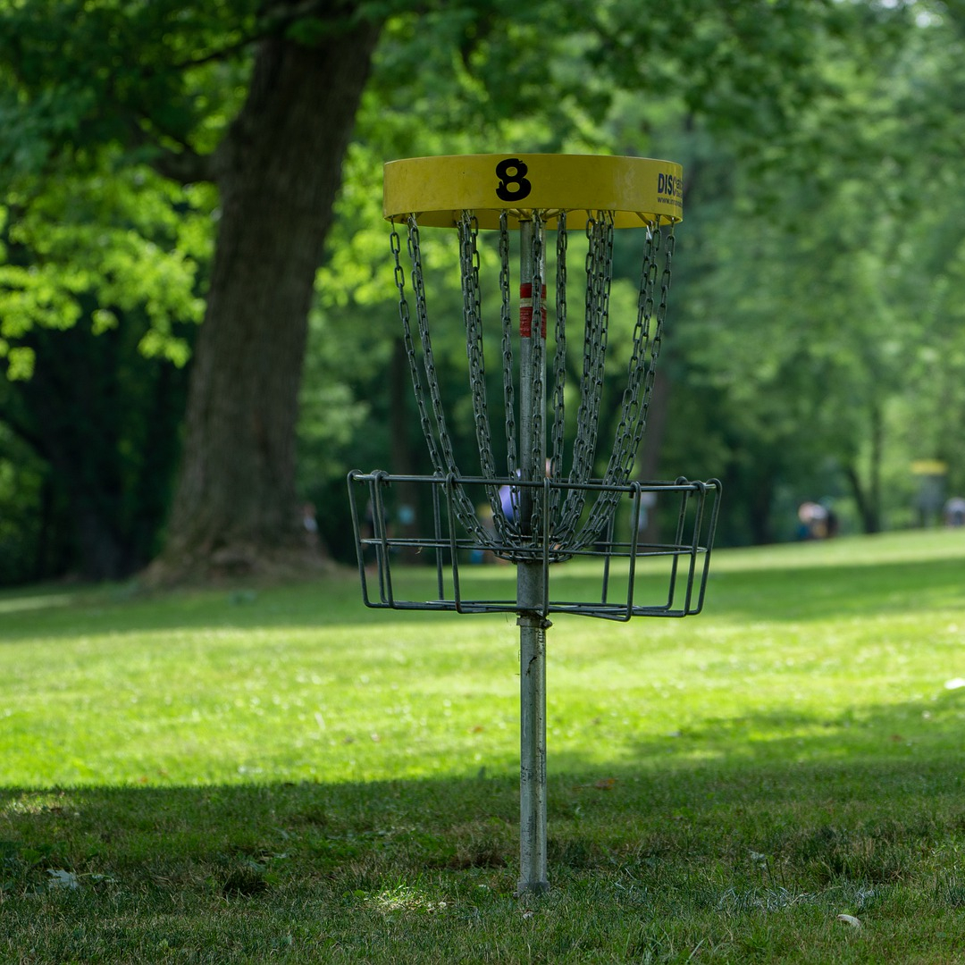 disc-golf