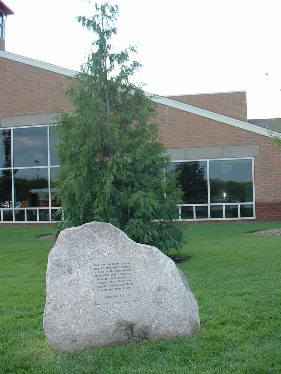 Beacon Tree and Dedication Plaque