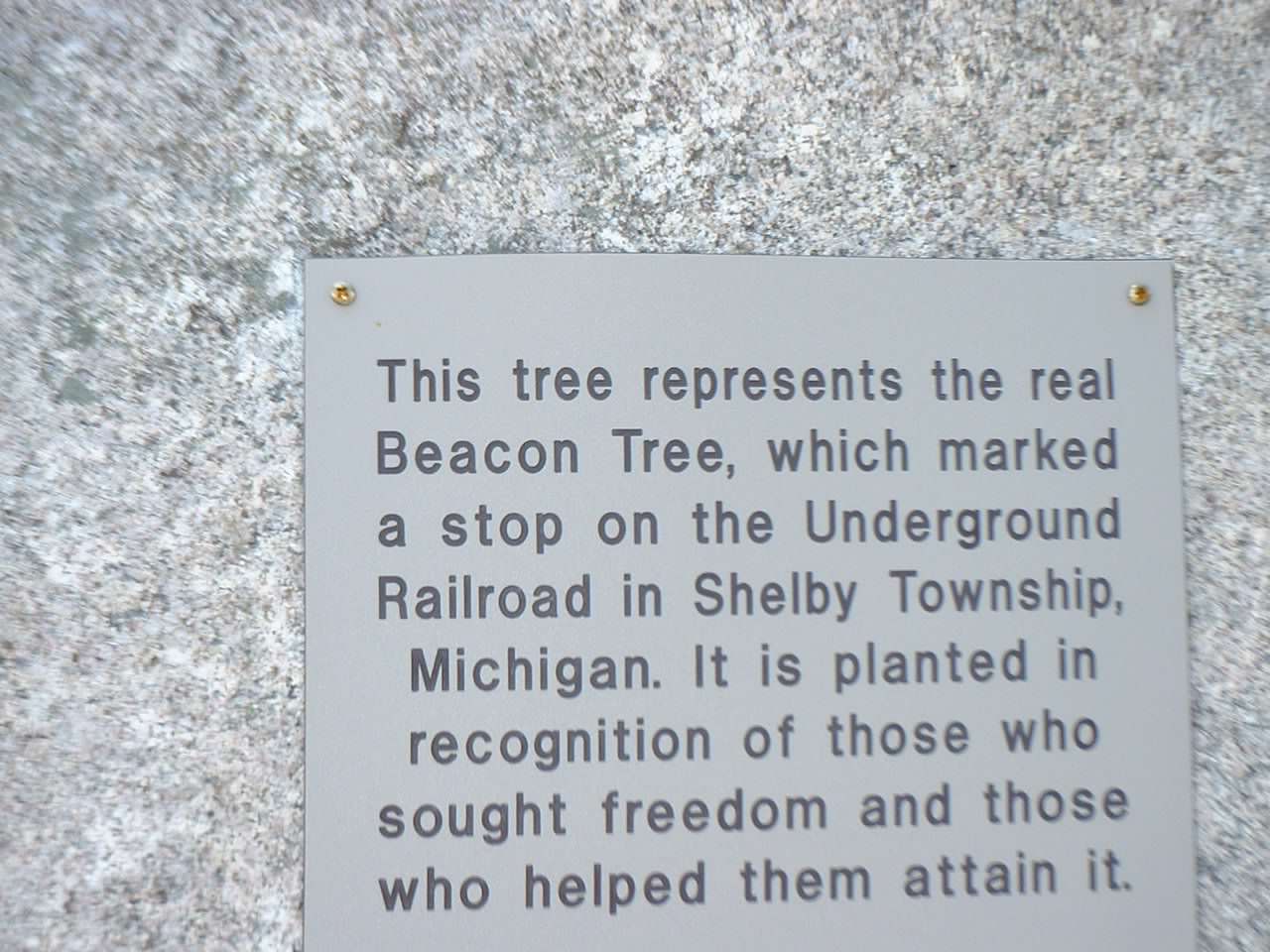 Dedication Plaque