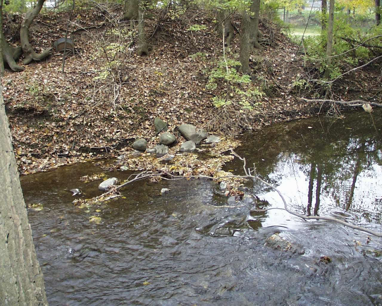 Remains of Prestonville Saw Mill