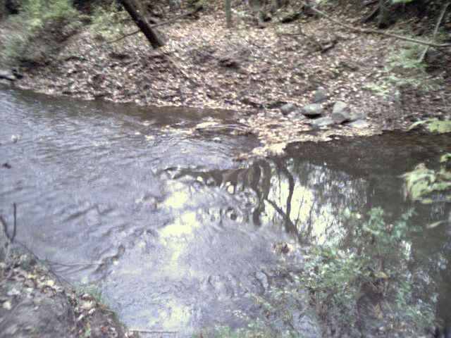 Remains of Prestonville Sawmill