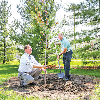 2017arborday