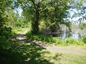 Holland Ponds Trail