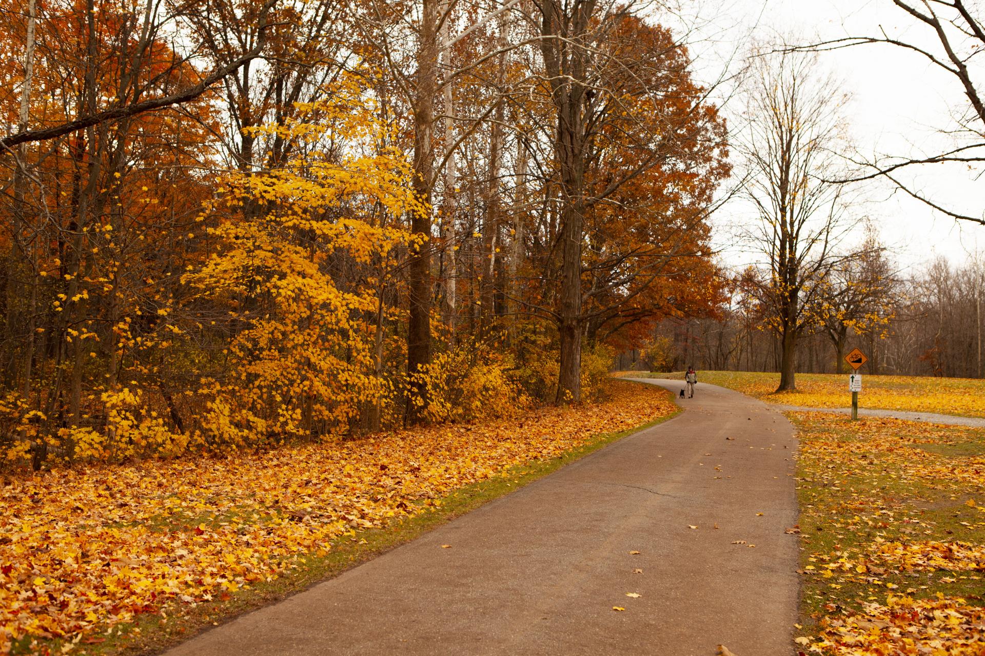 Fall in River Bends Park