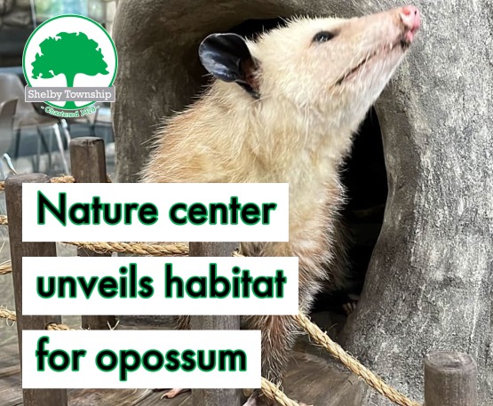 Burgess-Shadbush Nature Center unveils new habitat for opossum ambassador 