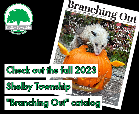 Check out the fall 2023 Shelby Township 